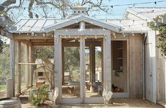 a chicken coop in the middle of a yard