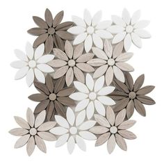 several white and brown flowers on a white background