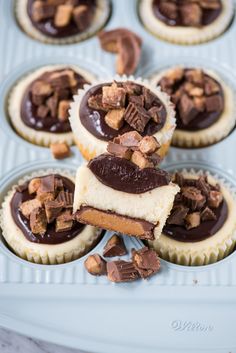 several cupcakes with chocolate frosting and nuts in them on a blue plate