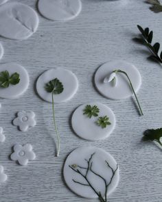 some white plates with plants on them and leaves scattered around the dishes that have been made out of clay