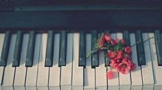 a single red rose sitting on top of a piano