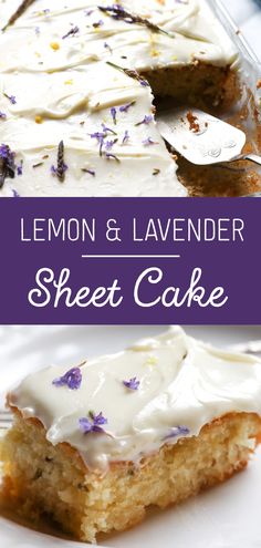 lemon and lavender sheet cake with white frosting