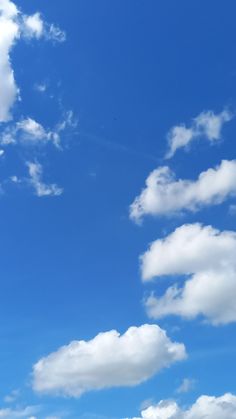 a group of people standing on top of a lush green field under a blue sky