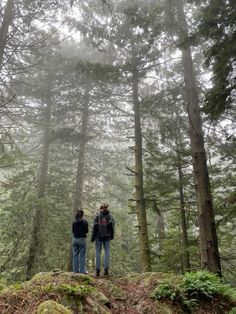 two people standing on top of a moss covered hill in the middle of a forest