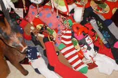 a dog standing next to a pile of christmas stockings and other holiday socks on the floor