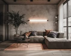 a living room filled with furniture and a potted plant on top of a table