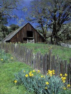 an old wooden barn sits on the side of a hill with flowers growing in front of it