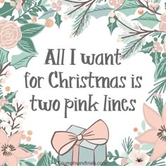 a christmas card with pink flowers and green leaves on the border, all i want for christmas is two pink lines