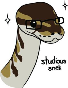 a giraffe with glasses on its head and stars around it's neck