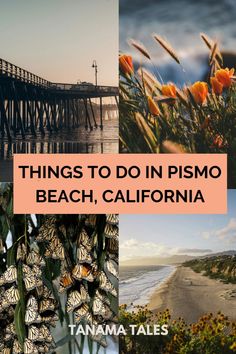 things to do in pismo beach, california