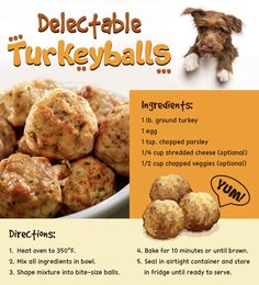 a poster with instructions on how to make stuffed turkey balls for dogs and cats in the kitchen