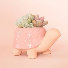 a pink ceramic planter with succulents in it on a pink background