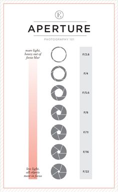 an info sheet showing the different types of objects in front of it, including circles and lines