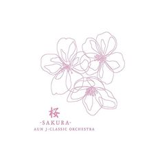 some pink flowers on a white background with the words sakura written in it