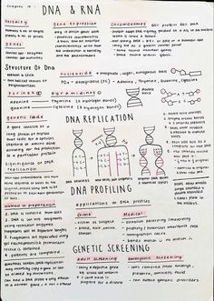 a handwritten poster with some type of information on the page, and other things in it