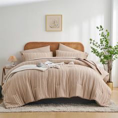 a bedroom with a bed, nightstand and plant in the corner on the floor next to it