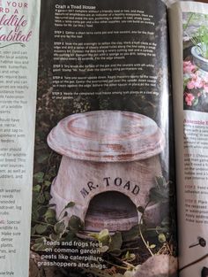 an article in the garden magazine about how to build a stone oven for your garden