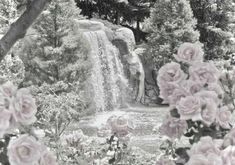 pink roses are in the foreground and a waterfall is in the background, surrounded by trees