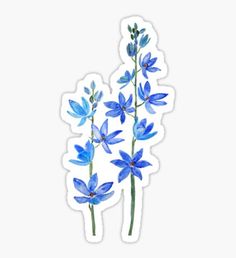 blue flowers sticker on a white background