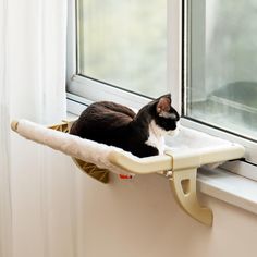 a black and white cat sitting in a window sill