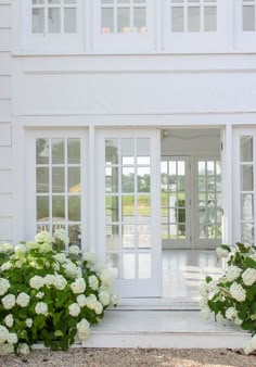 two white hydrangeas in front of a house with double doors and glass windows