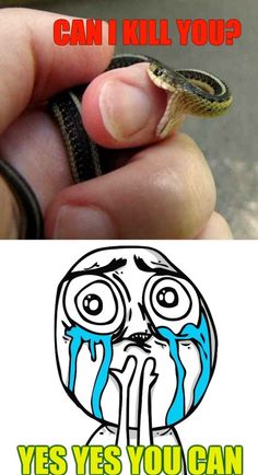 a hand holding a snake with the caption can't kill you? yes, you can