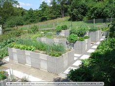 an outdoor vegetable garden with concrete blocks