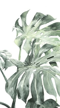 a watercolor painting of green leaves on a white background