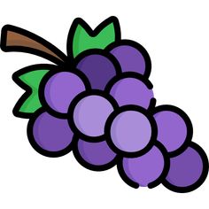 a bunch of grapes with green leaves on the top and purple berries on the bottom