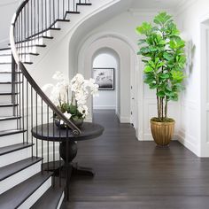 there is a potted plant on the table next to the stairs in this house