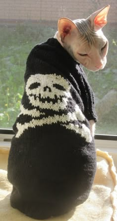 a cat wearing a sweater sitting on top of a window sill