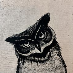 an owl is shown in black and white