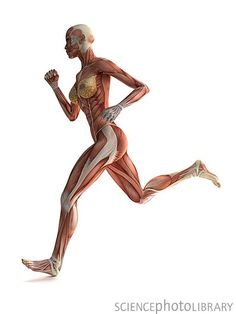 an image of a man running with muscles visible on his chest and upper half body