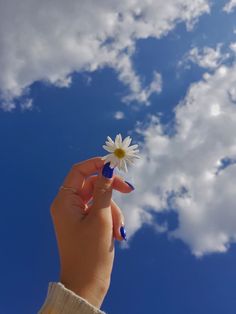 a person's hand holding up a small daisy in front of a cloudy blue sky