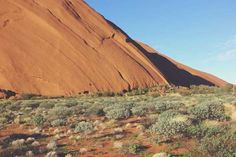 a large rock in the middle of a desert with plants growing on it's sides