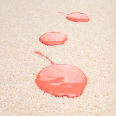 three red circles that are on the floor with white carpet and one is in the middle