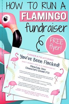 a pink flamingo flyer with the words, how to run a flamingo fundraiser & you've been flocked