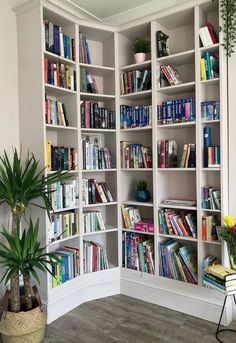 a white bookcase filled with lots of books next to a potted plant