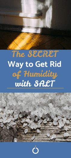 the secret way to get rid of humility with salt is easy and fun for kids