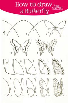 how to draw a butterfly for kids with pictures on the page and instructions in english