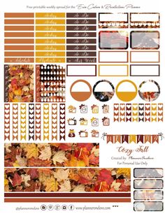 the fall planner sticker kit is full of autumn leaves and other things to do with it