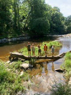 four people standing on a log in the middle of a river with trees and grass