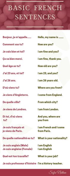 #frenchlanguage #ais #learnfrench #french #fran #france #speakfrench #frenchwords #frenchvocabulary #learningfrench #ilovefrench #apprendrelefran #fle #aise #studyfrench #frenchlesson #frenchclass #languagelearning #francais #learnfrenchonline #frenchteacher #frenchlearning #franc #parlerfran #language #s #languefran #francophile #frenchgrammar #delf French Common Phrases, French Basic Sentences, French Conversation Phrases, French Common Words, Basic French Words For Beginners, French Beginner Vocabulary, Learning French Beginner Notes, French Basics Language, Easy French Words