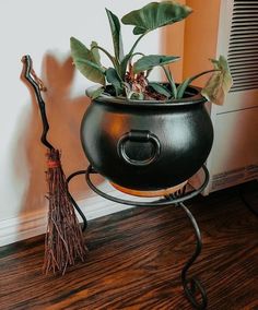 a potted plant sitting on top of a metal stand