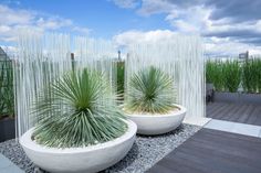 two large white planters sitting next to each other