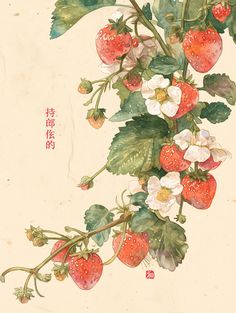 a painting of strawberries and flowers with chinese writing on the bottom right corner,