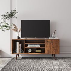 an entertainment center with a flat screen tv on it's stand, next to a potted plant