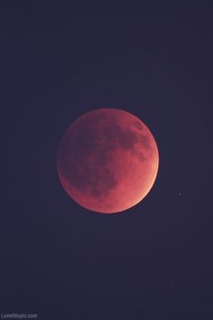 a red moon is seen in the night sky