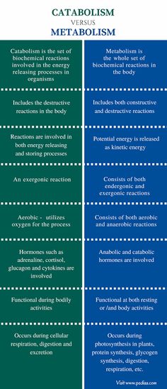 the differences between catablosm and metopism