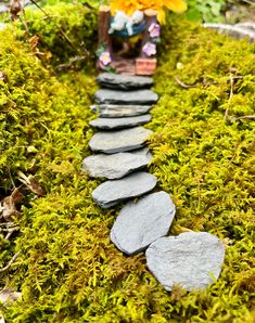 a garden path made out of rocks and moss with flowers in the backround